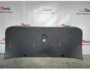 Облицювання кришки багажника Tesla Model X, 1037899-50-G